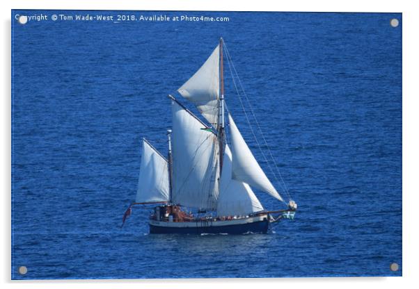 Gaff-Rigged Ketch Tectona sailing in Torbay Acrylic by Tom Wade-West