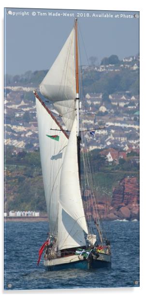 Gaff-Rigged Ketch Tectona sailing in Torbay Acrylic by Tom Wade-West