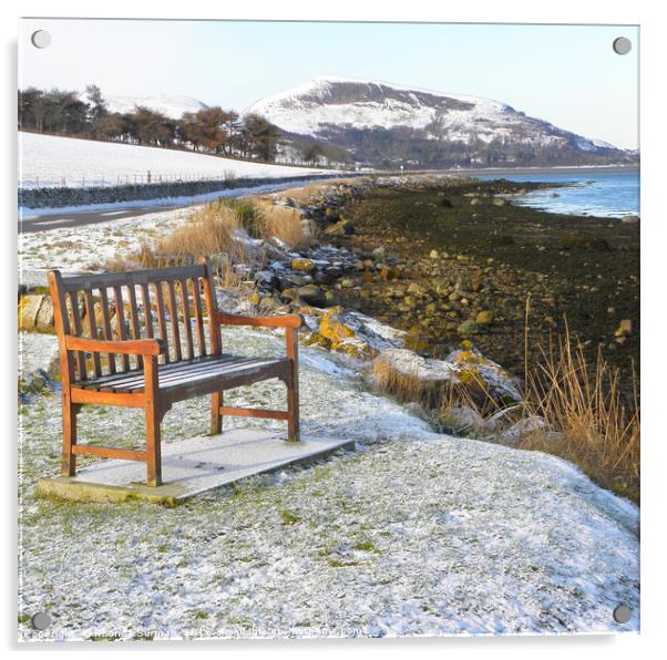 Have a seat ... enjoy the view Acrylic by Rhonda Surman