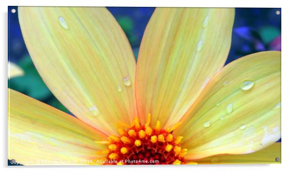 Yellow dahlia Acrylic by Rhonda Surman