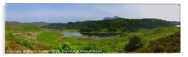 Loch Glendhu from the Kylestrome viewpoint Acrylic by Rhonda Surman