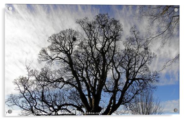 Tree Silhouette Acrylic by Rhonda Surman