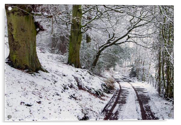 Snowy Woodland Track Acrylic by Colin Green