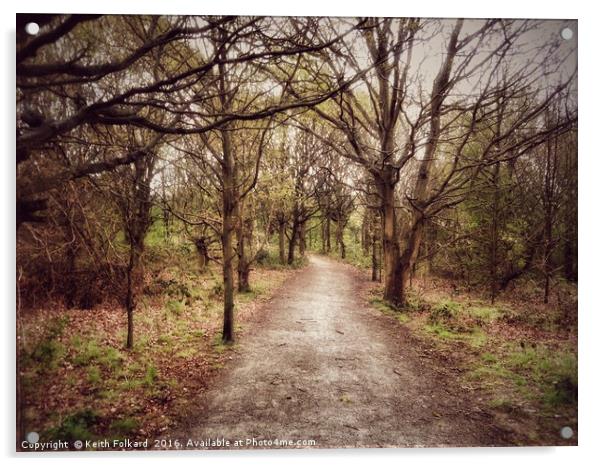 Woodland walk Acrylic by Keith Folkard
