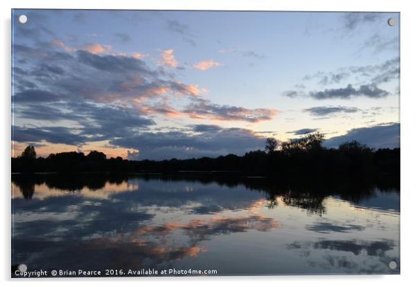 Reflections at Thatcham Lakes Acrylic by Brian Pearce