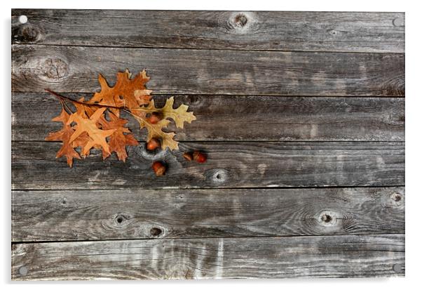 Seasonal oak leaves with acorns on a rustic wood background for  Acrylic by Thomas Baker