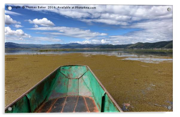 Old small fishing boat on wetlands  Acrylic by Thomas Baker