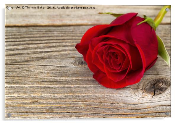 Single freshly cut red rose on rustic wood  Acrylic by Thomas Baker