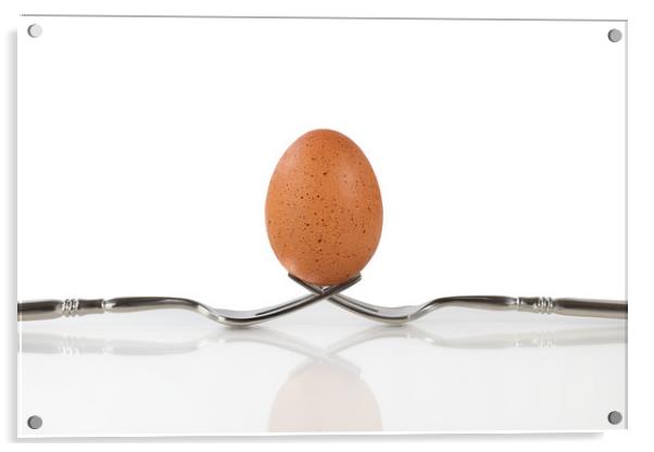 Isolated whole brown egg balanced on two forks Acrylic by Thomas Baker