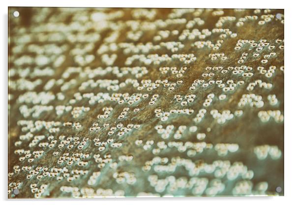 Braille Text Writing On Stone Acrylic by Radu Bercan