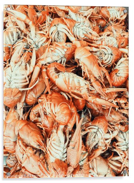Lobsters For Sale In Fish Market Acrylic by Radu Bercan