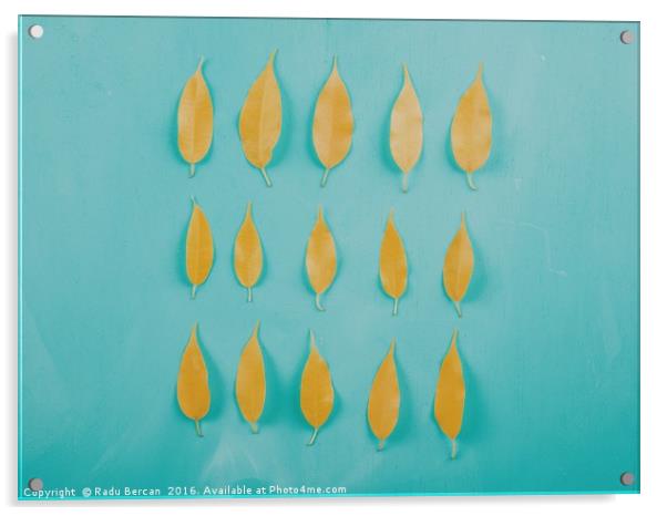 Yellow Autumn Leaves On Turquoise Wood Table Acrylic by Radu Bercan