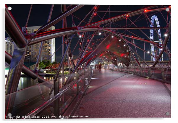  Singapore's Helix bridge  Acrylic by Rob Lucas