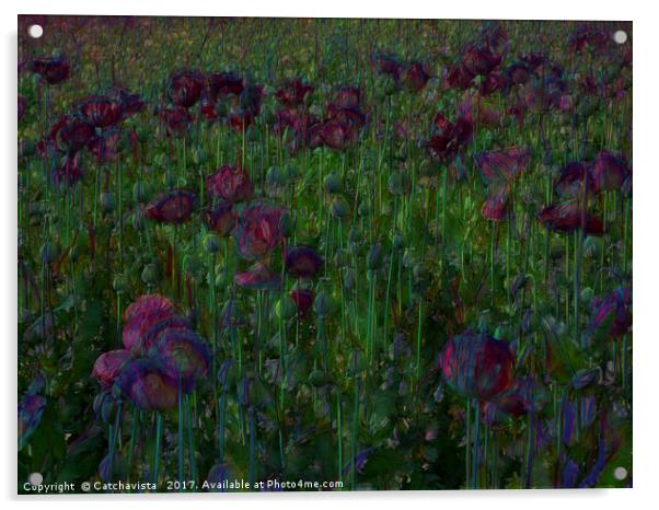 Poppy Meadow Acrylic by Catchavista 