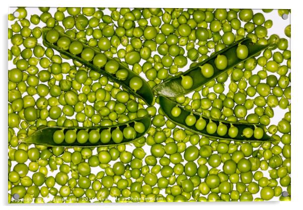 fresh green peas Acrylic by Massimo Lama