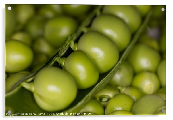 Fresh green peas  Acrylic by Massimo Lama