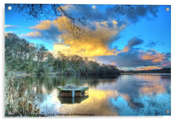 Frensham Pond at sunset Acrylic by Julian Paynter