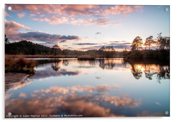 Axe Pond reflections Acrylic by Julian Paynter