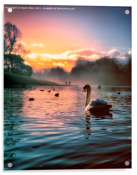 Swan lake  Acrylic by Kevin Elias