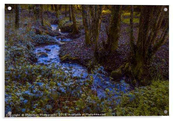 Woodland Stream Acrylic by Distortion Photography