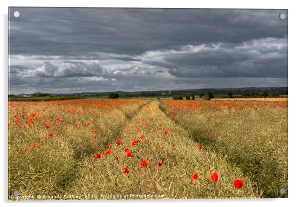 Storm Clouds over Poppies Acrylic by AMANDA AINSLEY