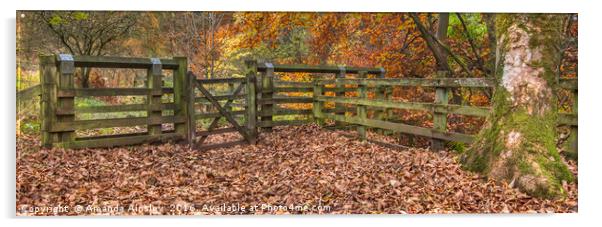 Autumn Gates Acrylic by AMANDA AINSLEY