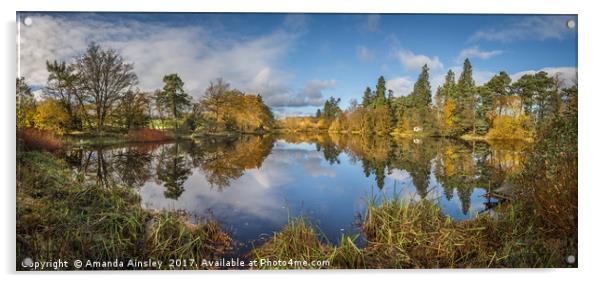Lartington Low Pond in Autumn Splendour Acrylic by AMANDA AINSLEY