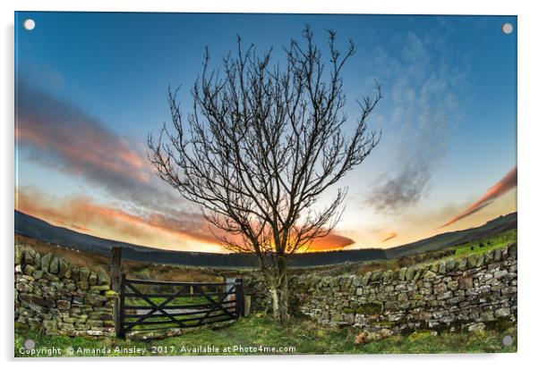 Sunset at The Curvy Tree  Acrylic by AMANDA AINSLEY