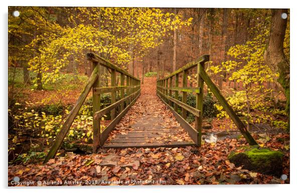 Enchantment in the Autumn Woods Acrylic by AMANDA AINSLEY