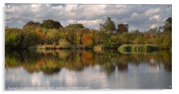 Serene Autumn Reflections Acrylic by AMANDA AINSLEY