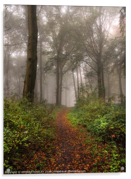 Misty Woodland Walk Acrylic by AMANDA AINSLEY