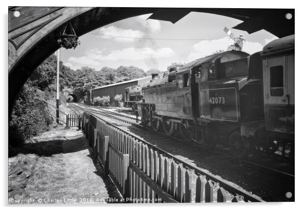 Haverthwaite & Lakeside Steam Railway              Acrylic by Charles Little