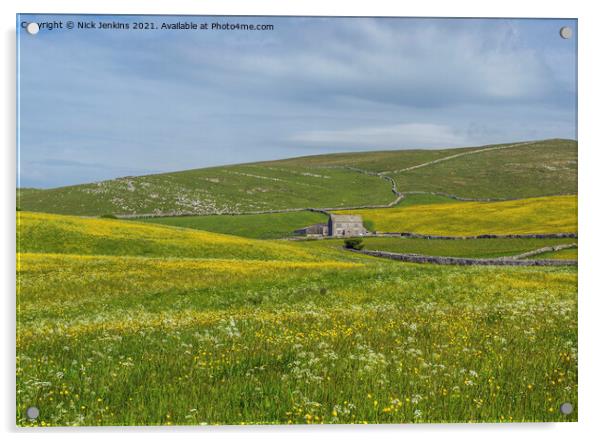 Dales Farm above Malham Village Yorkshire Dales Acrylic by Nick Jenkins