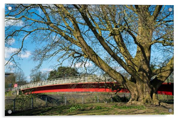 Footbridge into Bute Park Cardiff over the River T Acrylic by Nick Jenkins