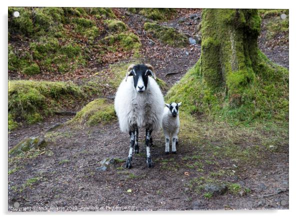 Sheep and lamb Burrator Dartmoor Acrylic by Nick Jenkins