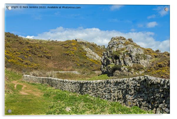 Path down to Mewslade Bay from Pitton on Gower Acrylic by Nick Jenkins