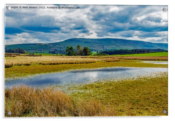 Fan Frynych from Pond on Mynydd Illtud Common  Acrylic by Nick Jenkins