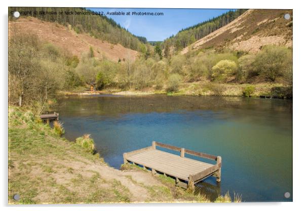 Clydach Upper Pond Rhondda Valley  Acrylic by Nick Jenkins