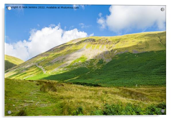 Yarlside Howgill Fells Cumbria in Summer Acrylic by Nick Jenkins