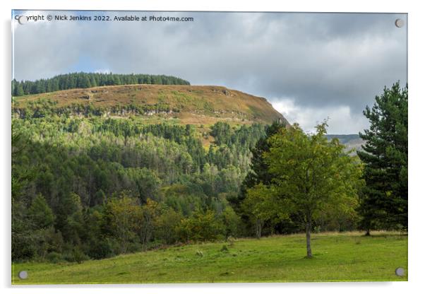 The Hillside of Pen Pych Overlooking Blaencwm Rhondda Fawr Acrylic by Nick Jenkins