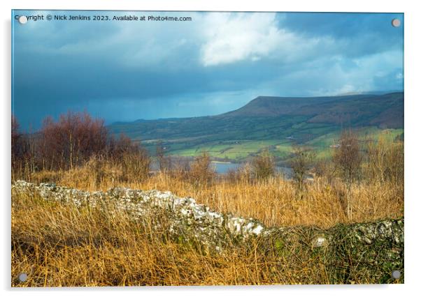 View from Allt yr Esgair to Mynydd Troed Acrylic by Nick Jenkins