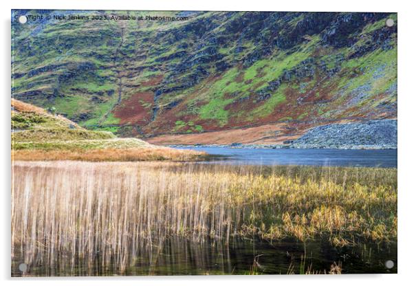 The Llyn or Lake at Cwmorthin Slate Mines Snowdonia Acrylic by Nick Jenkins