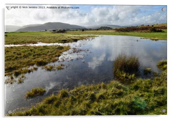 Pond on Mynydd Illtyd Common Brecon Beacons  Acrylic by Nick Jenkins