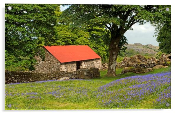 The Emsworthy Bluebells and Barn Dartmoor Acrylic by Nick Jenkins