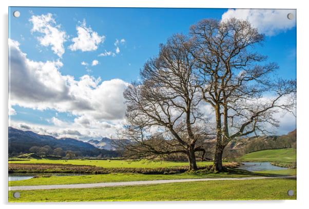 The Great Langdale Valley Acrylic by Nick Jenkins