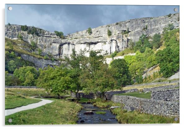 Malham Cove at Malhamdale in the Yorkshire Dales Acrylic by Nick Jenkins