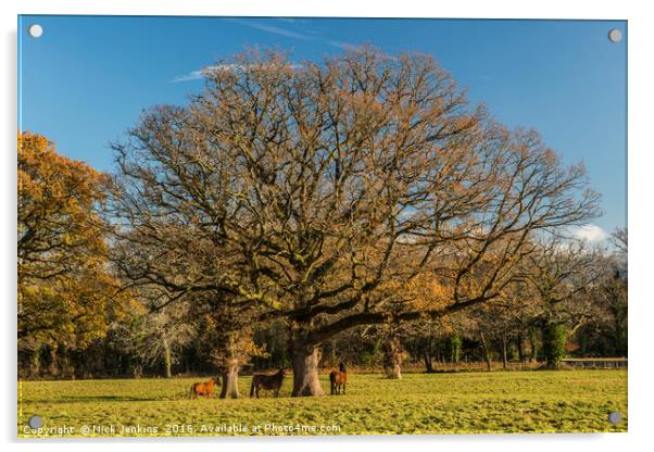 Trees and Horses Brecon Beacons Acrylic by Nick Jenkins