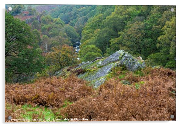 Autumn Landscape above the Tywi River Mid Wales Acrylic by Nick Jenkins