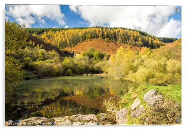 The Upper Pond at Clydach Vale Rhondda Autumn Acrylic by Nick Jenkins