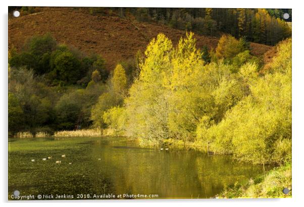 Autumn at Upper Pond Clydach Vale Rhondda Acrylic by Nick Jenkins